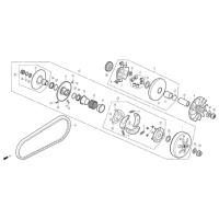 Courroie adaptable Scooter DAELIM BESBI