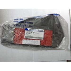 Filtre à air DAELIM B-BONE