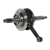 VILEBREQUIN 125 LIFAN DIRT BIKE