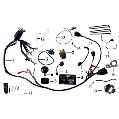 Faisceau MASH CITY CRUISE 4T 2018