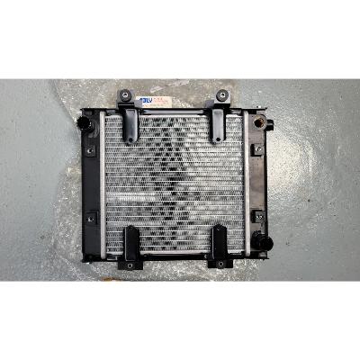 Radiateur ADLY 500 19000-501-000