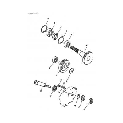 Transmission quad Adly 50 Rocky Fox