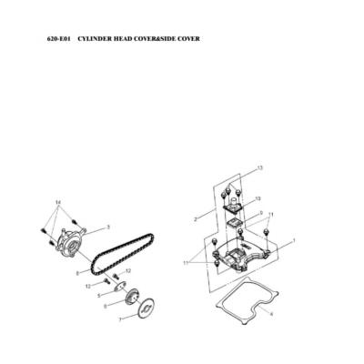 Chaine de distribution ou couvre culasse ADLY 600 XCE COUNTRY 